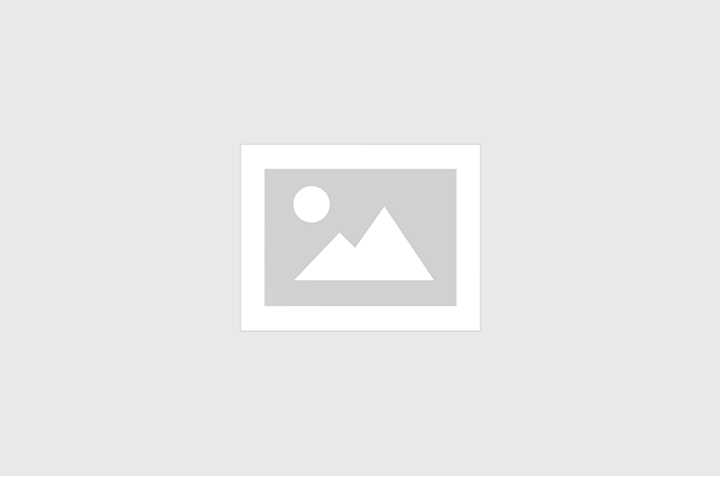 Boletim II - SECOM/ALE - RO - 28 de Outubro de 2026
