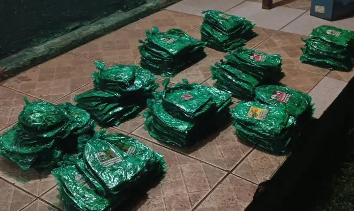 COMBATE AO TRÁFICO NA FRONTEIRA: PMRO E 6º BIS APREENDEM FOLHAS DE COCA NO RIO MAMORÉ