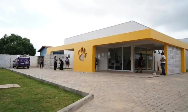 Porto Velho se destaca na causa animal com Clínica de Bem-Estar Animal